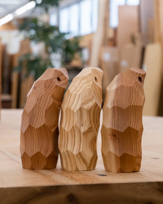 CCカップ　シーシーカップ cccup-sugi02_6734a2ce-40e2-